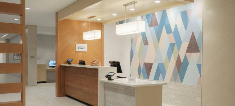 万豪斯泊林山套房酒店 - 坦帕布兰登(SpringHill Suites Tampa Downtown)图片