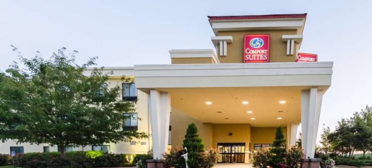 南萨莱纳舒适套房酒店(Comfort Suites Salina South)图片