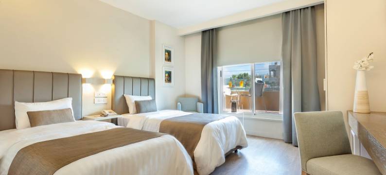 艾尔卡大都会酒店(AlQasr Metropole Hotel)图片