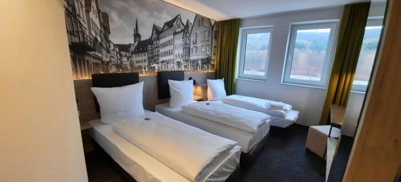 欧罗酒店韦特海姆(Euro Hotel Wertheim)图片