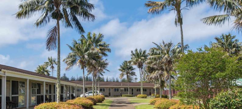 白日梦游人公寓(Daydreamer Apartments)图片