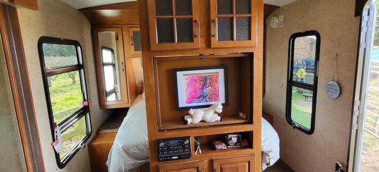 骆驼华丽露营酒店(Glamping with Llamas)图片