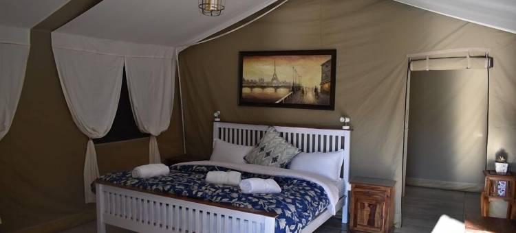 雪松营地(Camp Cedar)图片