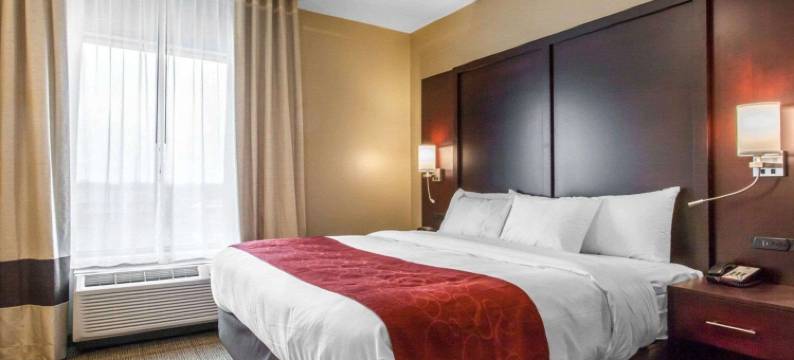 舒适套房酒店-扬斯敦北(Comfort Suites-Youngstown North)图片