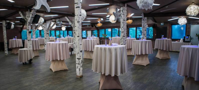 阿尔平度假酒店(Alpin Resort Hotel)图片