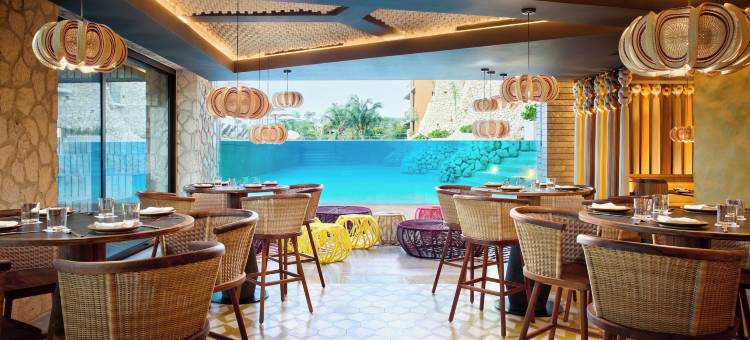 卡瑞特艺术酒店 - 全公园 - 全乐趣全包(Hotel Xcaret Arte - All Parks All Fun Inclusive - Adults Only)图片