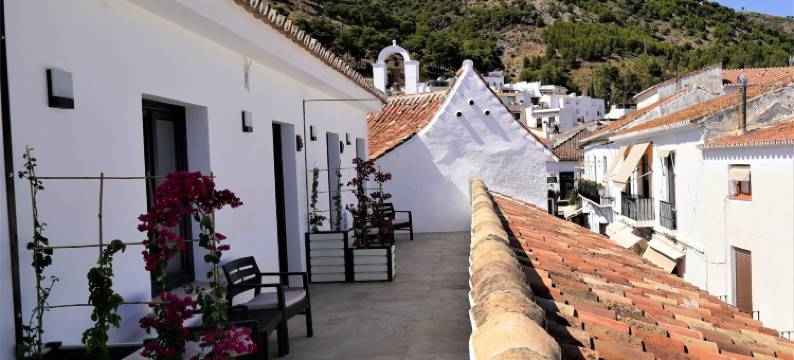 OPUNTIA精品酒店(Opuntia Hotel Boutique)图片