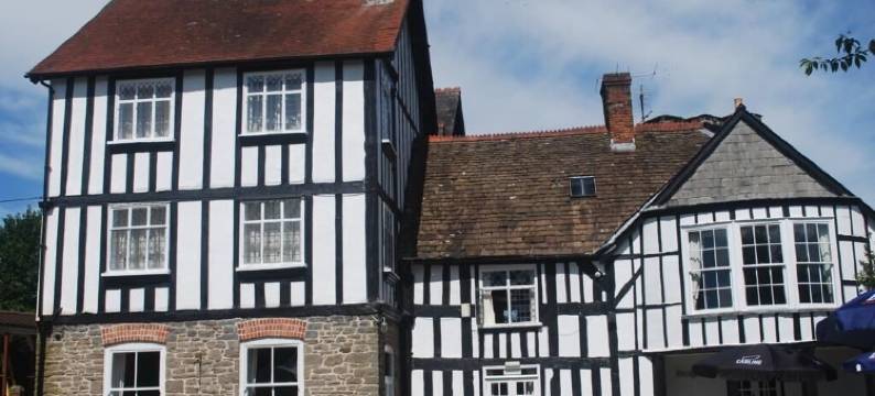 雷德诺希尔酒店(The Radnorshire Arms Hotel)图片