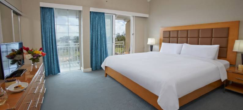 迪维南风海滩度假村(Divi Southwinds Beach Resort)图片