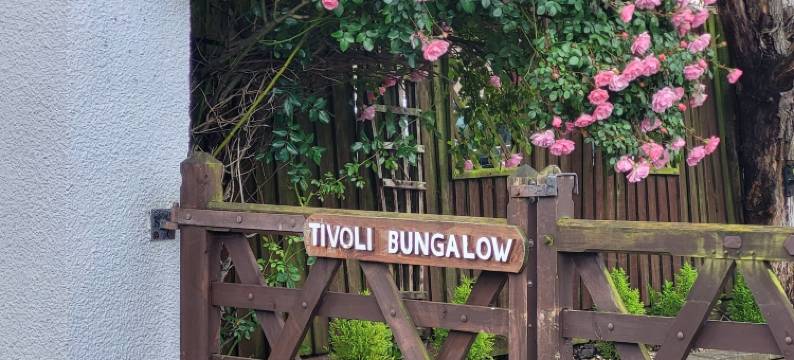 蒂沃利平房(Tivoli Bungalow)图片