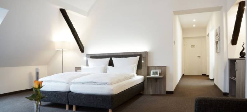 胡内尔宾邮政酒店(Hünerbein's Posthotel)图片