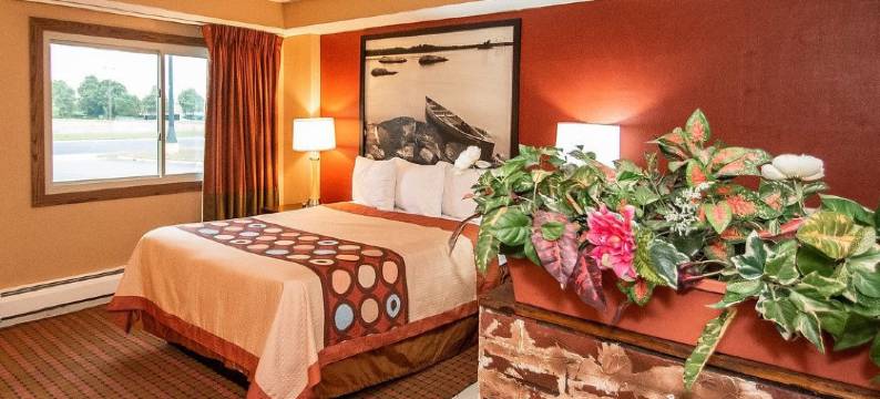 布鲁克林中心速8酒店(Super 8 by Wyndham Brooklyn Center/Mpls)图片