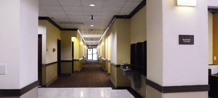 康福特套房布什洲际机场酒店(Comfort Suites Bush InterContinental Airport)图片