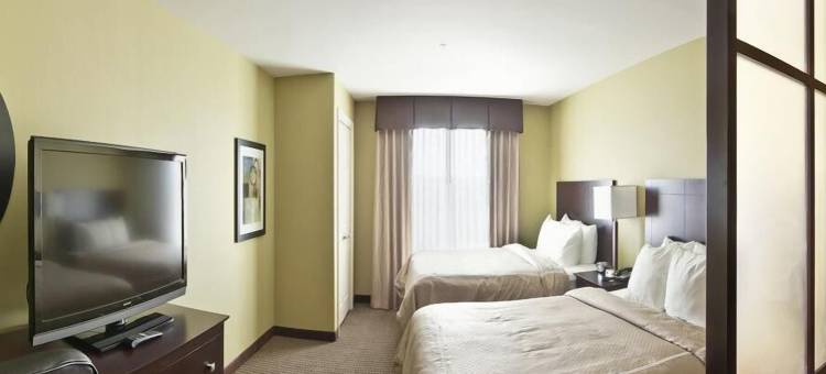 舒适套房酒店-哈维-新奥尔良西(Comfort Suites Harvey - New Orleans West)图片