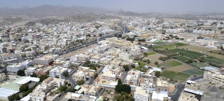 阿瓦利弗国际酒店(Awaliv International Hotel)图片