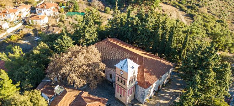 维拉加斯旅馆(Viraggas Traditional Hotel)图片