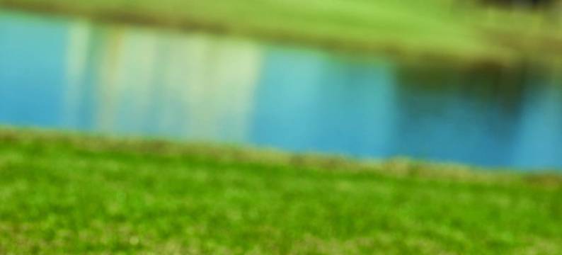 世界标记团聚(WorldMark Reunion)图片