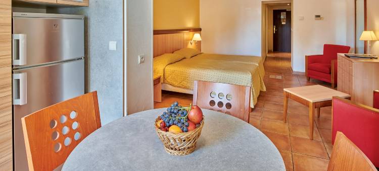 地中海蓝色度假法义公寓式酒店(Residence Vacances Bleues le Mediterranée)图片