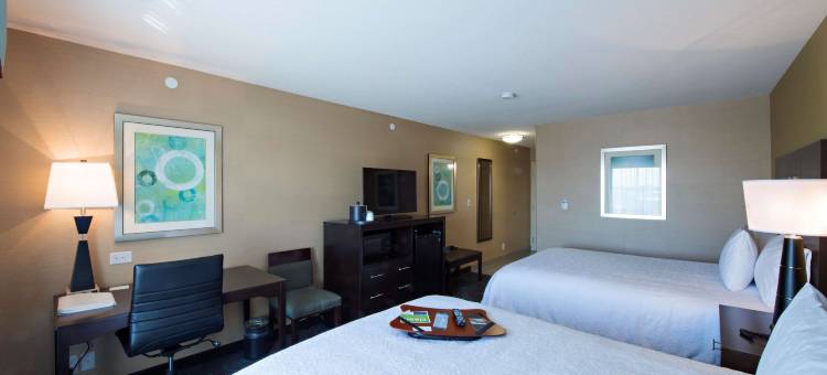 萨斯卡通南希尔顿欢朋酒店(Hampton Inn by Hilton Saskatoon South)图片