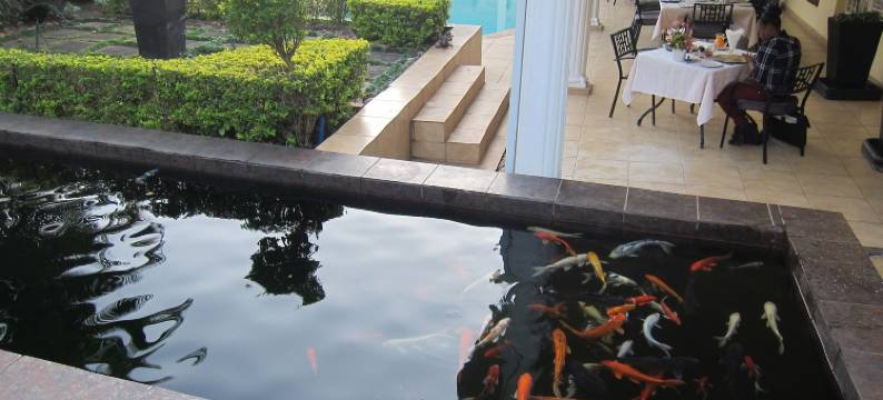 拉布伦旅馆(La Barune Guest House)图片