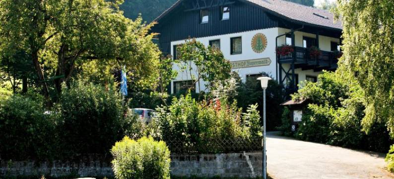 巴伐利亚森林酒店(Landhotel Bayerwald)图片