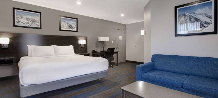 伯里温德姆戴斯酒店(Days Inn by Wyndham Barrie)图片