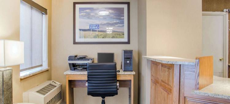 舒适酒店(Comfort Inn)图片