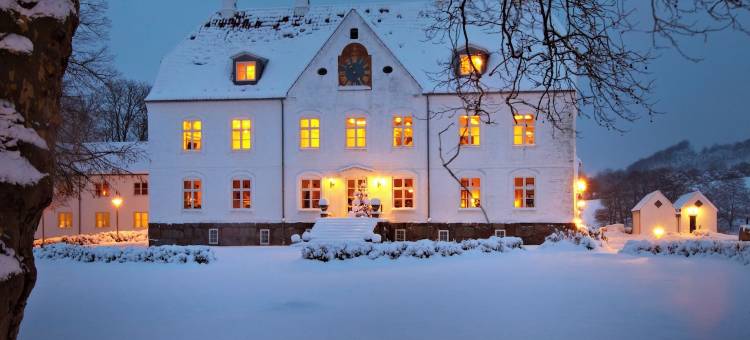 哈拉德斯卡辛那图尔酒店及会议中心(Haraldskær Sinatur Hotel & Konference)图片