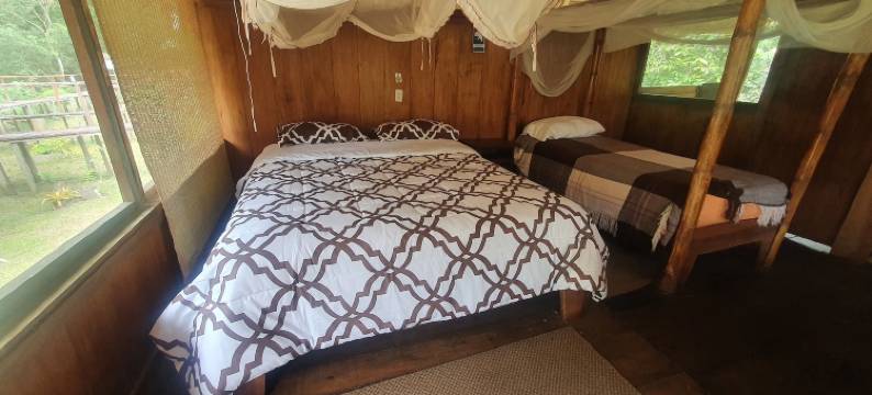 库亚贝诺河山林小屋(Cuyabeno River Lodge)图片