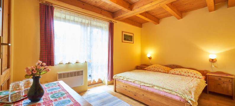 帕兹克宾馆(Penzion Pažický)图片