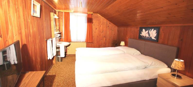 阿尔宾娜餐厅酒店(Hotel-Restaurant Alpina)图片