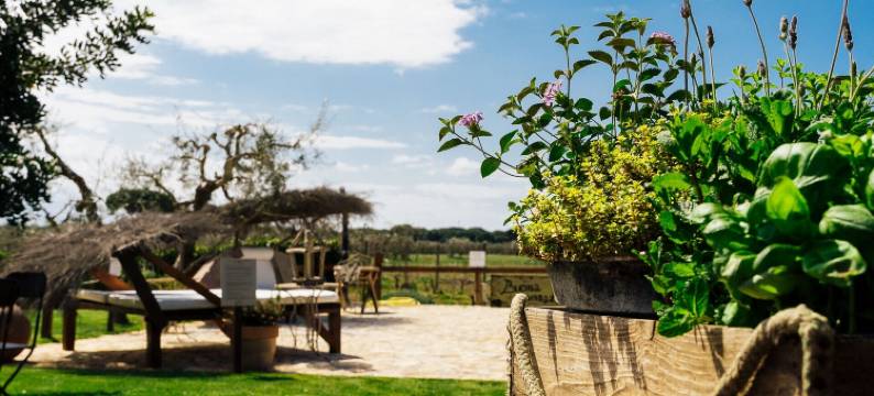 甜蜜小屋农庄酒店(Agriturismo Sweet Cottage)图片