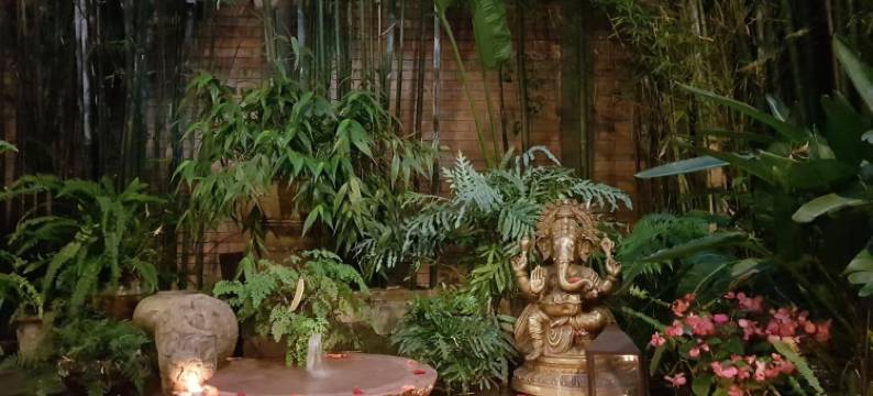 卡萨奥雷亚(Casa Aurea Hotel Boutique)图片