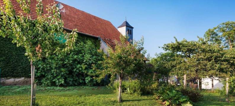 索菲农场酒店(La Ferme de Sophie)图片