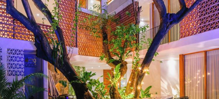 Agua de Luna精品酒店，圣潘乔纳亚里特(Agua de Luna Hotel Boutique, San Pancho Nayarit)图片