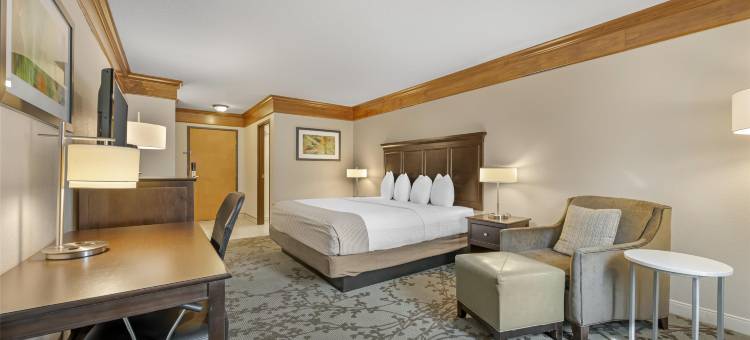 黑山贝斯特韦斯特酒店(Best Western Black Hills Lodge)图片