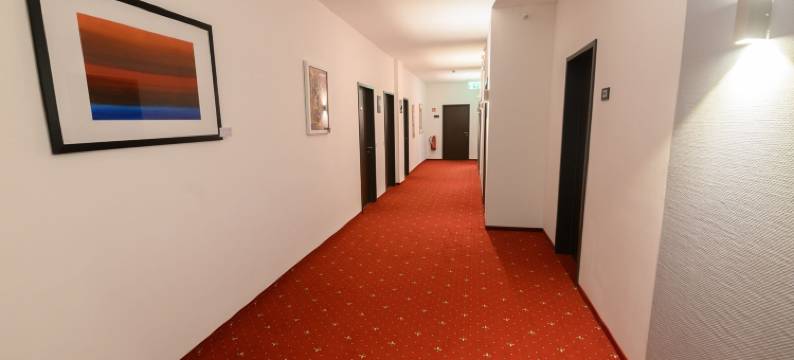 卢纳酒店(Hotel Luna)图片