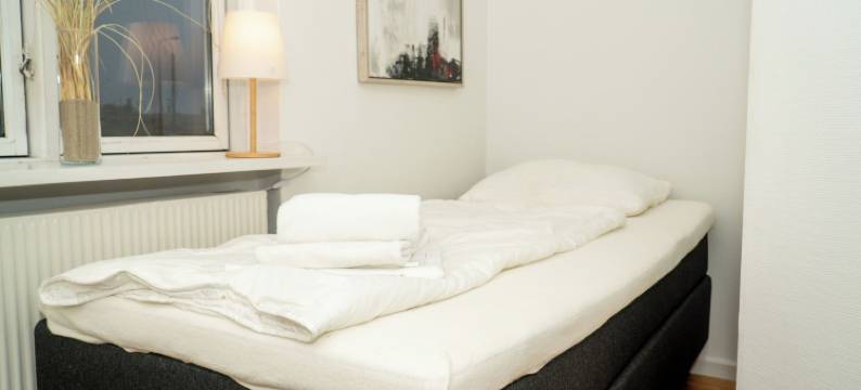 普莱斯纳附楼(Plesners Anneks)图片