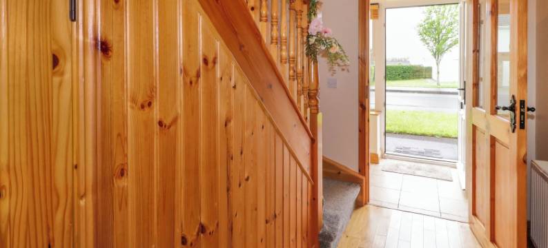 46 邓纳林(46 Dunalinn)图片