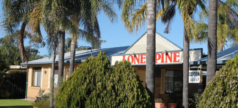 龙柏汽车旅馆(Lone Pine Motel)图片
