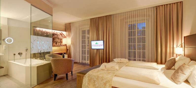 舒尼贝尔格霍夫酒店(Hotel Schneeberghof)图片