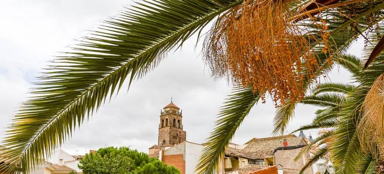 Hospedium酒店Alcudia套房的鸟巢(Hospedium Hotel El Nido de Alcudia Suites)图片