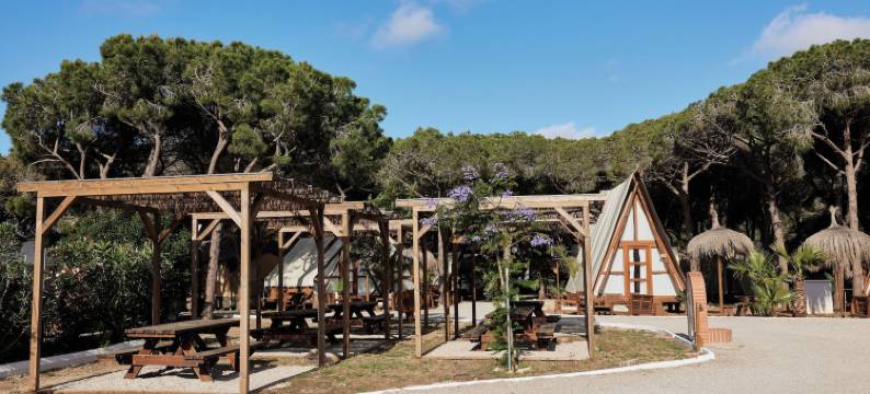 康尼尔露营(Taiga Conil)图片