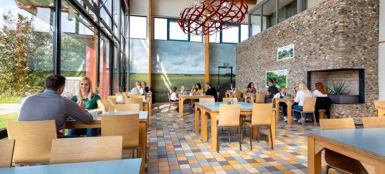 斯托亚凯特塞尔青年旅舍(Stayokay Hostel Texel)图片