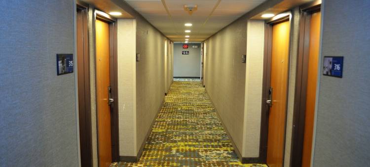 芝加哥霍夫曼庄园希尔顿欢朋旅馆&套房酒店(Hampton Inn & Suites Chicago/Hoffman Estates)图片
