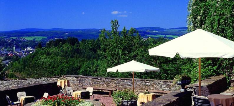 爱诗诺兰伯格酒店(Hotel Und Restaurant Burg Schnellenberg)图片