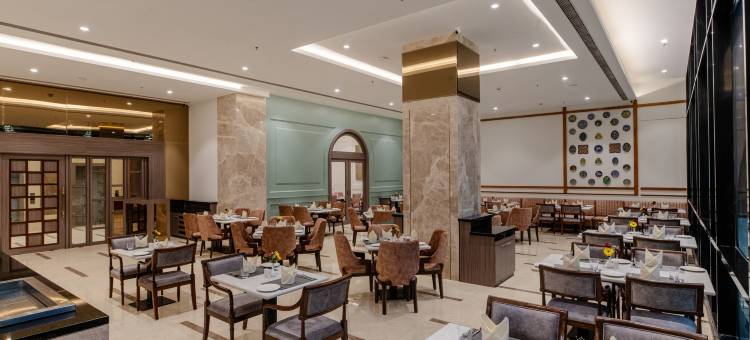 萨罗瓦尔波蒂科 阿杰梅尔(Sarovar Portico Ajmer)图片