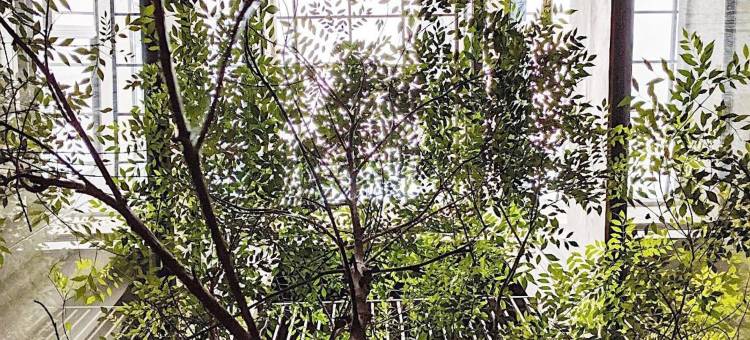 盖茨比公寓图片