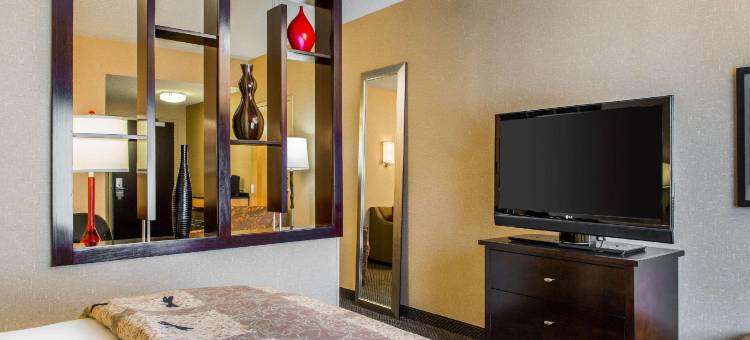 罗利达勒姆机场坎布里亚酒店(Cambria Hotel Raleigh-Durham Airport)图片