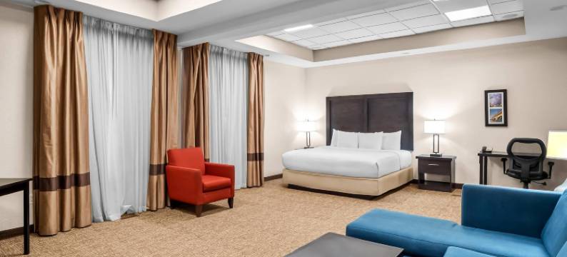艾伦帕克/迪尔伯恩舒适套房酒店(Comfort Inn & Suites Allen Park - Dearborn)图片